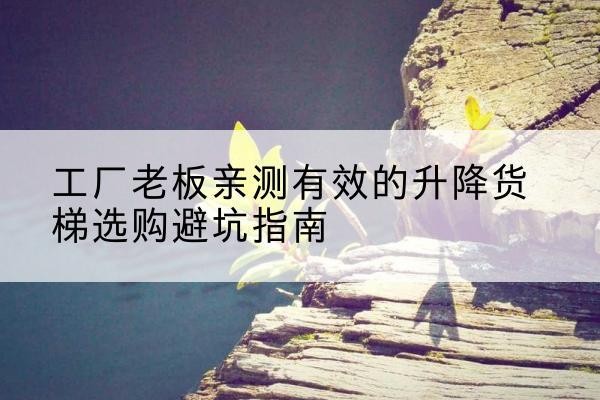敖汉旗升降货梯怎么选-工厂老板亲测有效的升降货梯选购避坑指南