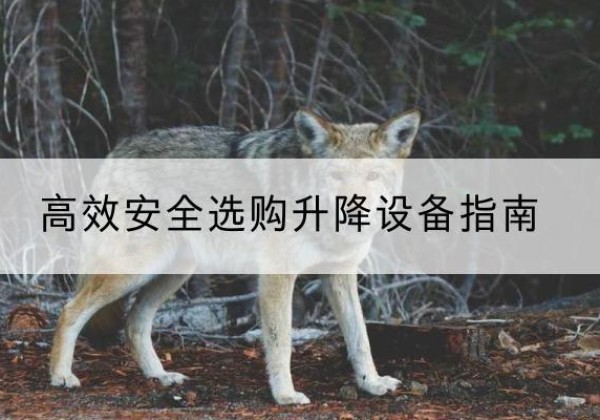 敖汉旗升降货梯厂家推荐-*安全选购升降设备指南