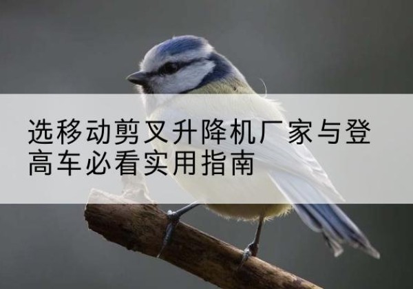 敖汉旗电动升降机厂家-选移动剪叉升降机厂家与登高车必看实用指南