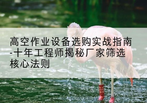 敖汉旗剪叉式升降机厂家-高空作业设备选购实战指南-十年工程师揭秘厂家筛选核心法则
